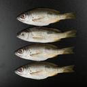Fresh Naizer Fish Whole Cleaned 500 g