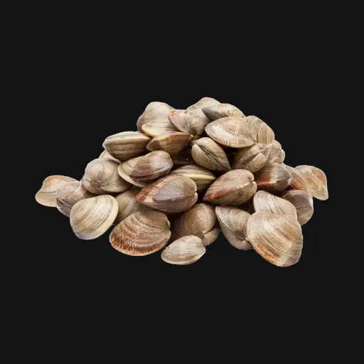 Clams Big With Shell 500 g