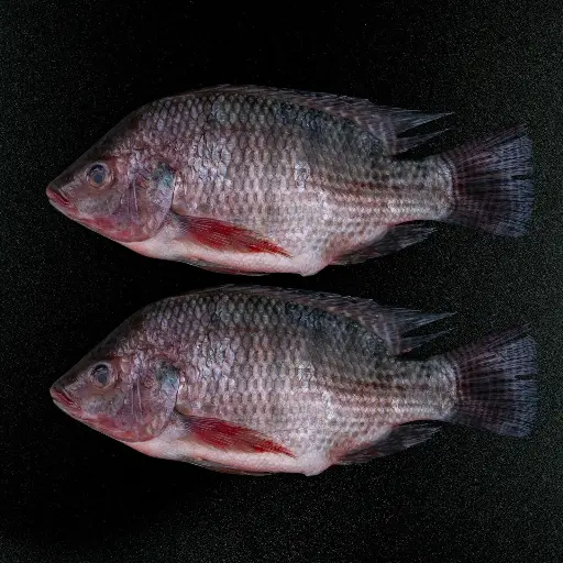 Fresh Tilapia Fish Whole Cleaned 1 kg